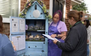 Can Cake Sheds Survive Tighter UK Council Scrutiny in 2026